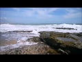 Pipa Beach Tours Video