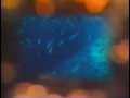 solta