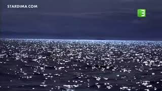 Free Willy - Mbc3 Intro