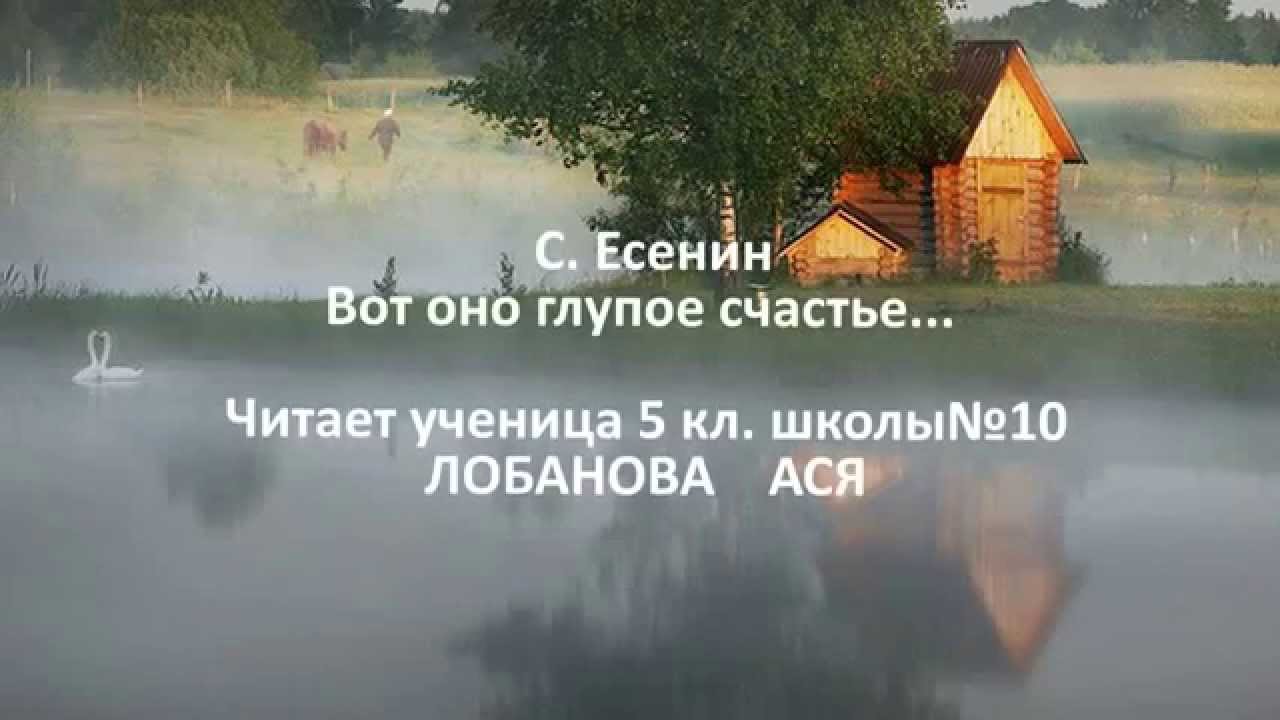Есенин глупое счастье стих Есенин глупое счастье стих