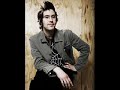 Elvis Perkins Weeping Pilgrim