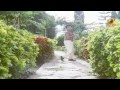 image Intor Bhavani Movie Songs Muddhuga Ne Song Devaraj Roopa Ganguly