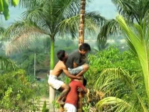 Image Result For Panjat Pinang Image Result For Panjat Pinang