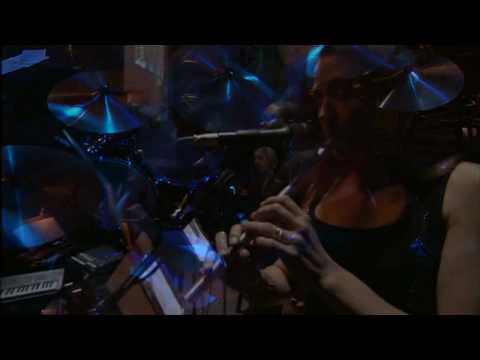 Céline Dion - My Heart Will Go On live 2002 HD