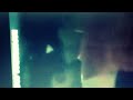 سكس عربي