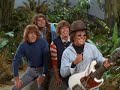 Gilligans Island- The Honey Bees