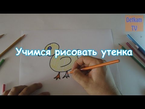Бесплатно видео учимся рисовать Бесплатно видео учимся рисовать