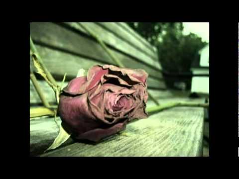 Din Pareshan hai ( with lyrics)