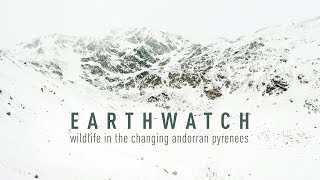Earthwatch Andorran Pyrenees - Long Term Data