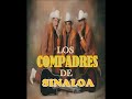 Los compadres de Sinaloa- 30 cartas