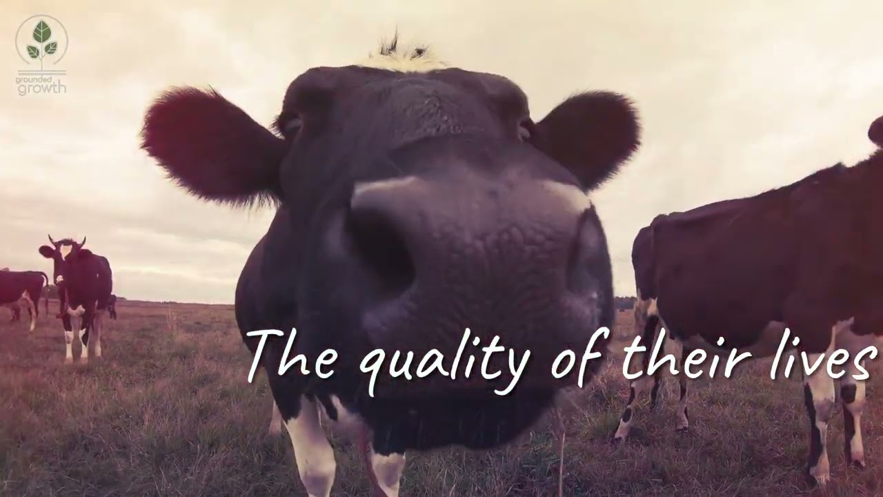 What is regenerative agriculture?