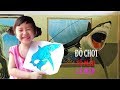Bé Tô Màu Con Vật - Tô Màu Con Cá Mập - Tranh Tô Màu Cho Bé