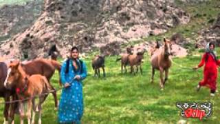 En güzel Kürtçe Şarkılar  özel derleme - 2020