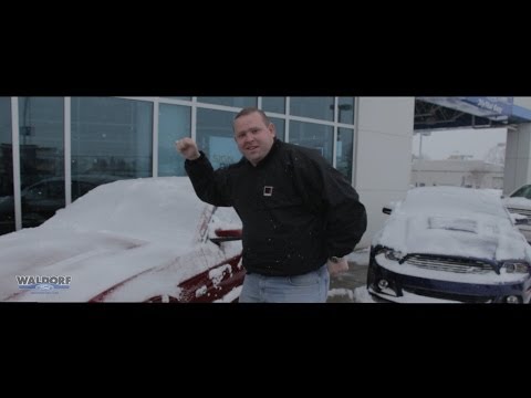 Waldorf Ford Happy