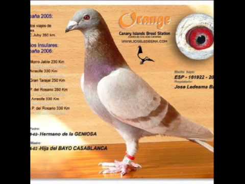 Gheorghe Zamfir - Candilejas / Verano Del '42 Gheorghe Zamfir - Candilejas / Verano Del '42