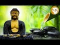 Nhạc Thiền Thanh Tịnh Thân Tâm - An Lạc Ngủ Ngon Ngủ Sâu Giấc - TUYỆT HAY và THƯ GIÃN