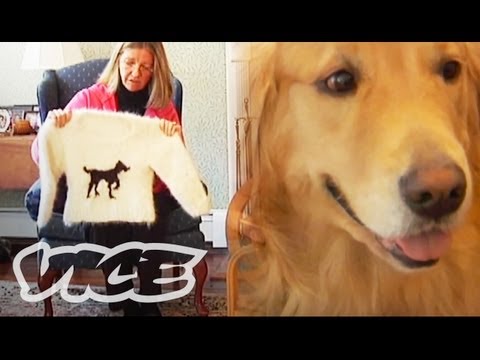 making-dog-hair-sweaters.html