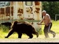 Incredible Incident Bear Road in Russia!!!