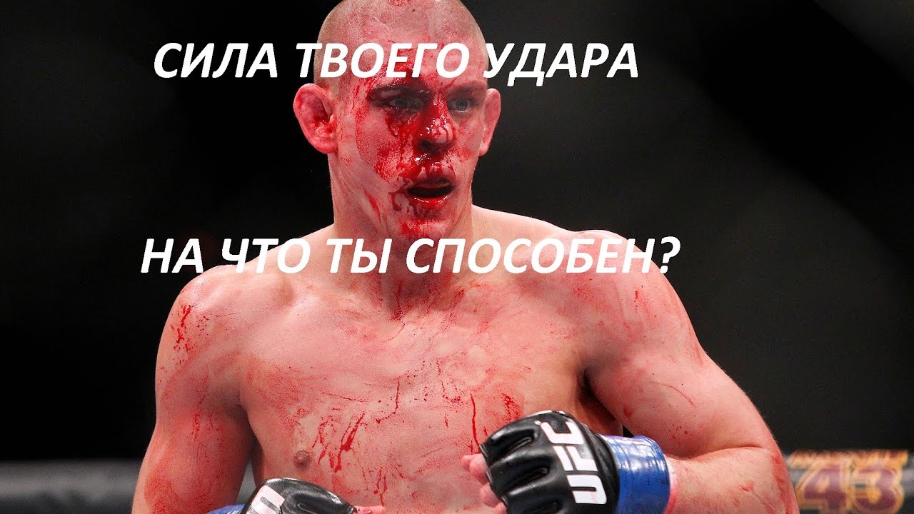 Как можно проверить силу своего удара Как можно проверить силу своего удара