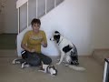 Dog Training Tip of the Day- Gotcha!