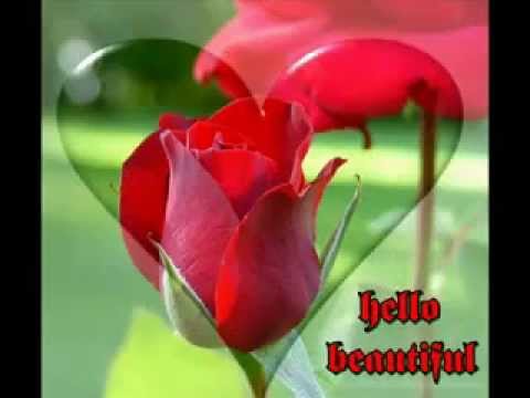 Rishta dilon ka (MUST WATCH)