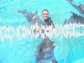 Репортаж с дневного шоу в киевском дельфинарии Немо