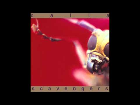 The Swarm Video