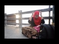 Hijab Di Pantai Merah images Hijab Di Pantai Merah