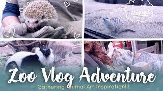 Zoo Vlog Adventure // Gathering Animal Inspiration
