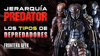 Tipos De Predators Jerarquía, Rangos Y Tipos De Depredadores La Cultura Y Jerarquía Yautja