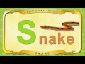 Multipedia Of Animals Letter S Snake images Multipedia Of Animals Letter S Snake