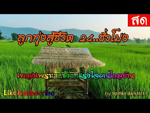 🔴LIVE สด เพลงลูกทุ่งเพราะๆ ฟังเพลงออนไลน์ซึ้งๆ ลูกทุ่งอินดี้ โจ๊ะๆ 24 ชั่วโมง
