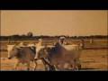 Download Mere Desh Ki Dharti - Desh Bhakti Geet - Proud to be Indian MP3 song and Music Video
