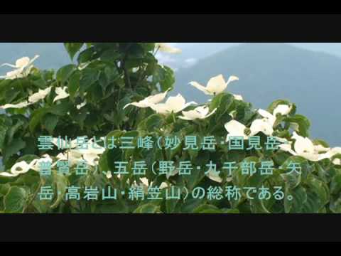 ヤマボウシ満開の雲仙九千部岳 ヤマボウシ 検索動画4 ヤマボウシ満開の雲仙九千部岳 ヤマボウシ 検索動画 4