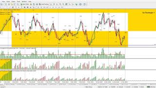 Lesson 12 Critical Success Factors Weis Wave with Speed Index
