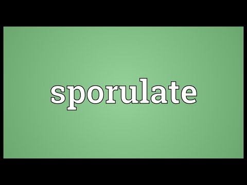 Header of sporulate
