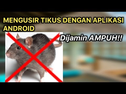 Cara mengusir tikus dengan aplikasi android
