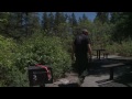 Feds prepare to close central N.M. forests
