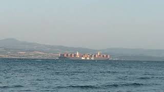 Panama Bayraklı 396 Metre 19.224 Konteyner Taşıma Kapasitesine Sahip Konteyner Gemisi Mv Msc Zoe