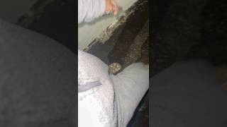 Indo Pra Festa De Pijama
