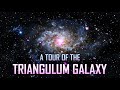 A Tour of the Triangulum Galaxy [4K]