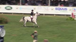 Video of HAYLIE VD GROENENDIJK ridden by KELLI CRUCIOTTI from ShowNet!