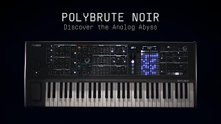 PolyBrute Noir | Stealth morphing polysynth | ARTURIA