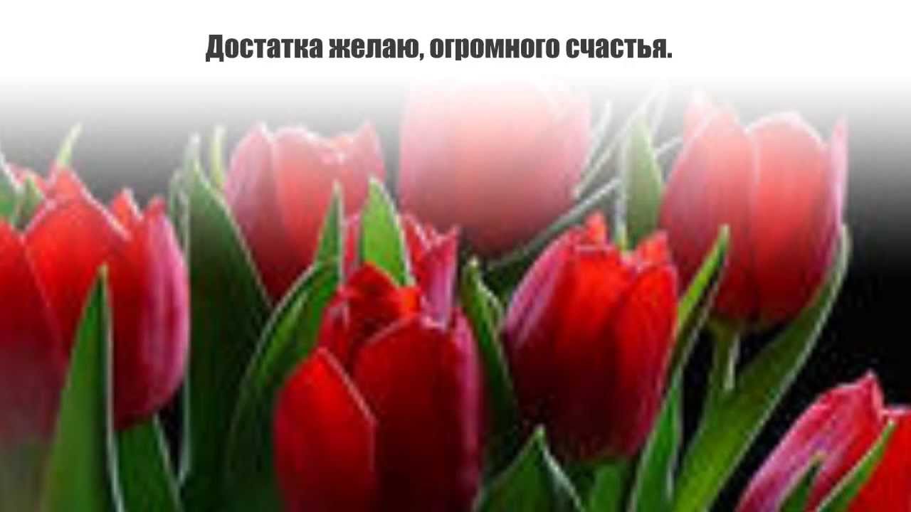 Поздравления с днем рождения - стихи и проза Поздравления с днем рождения
