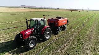 Paksan Makina - Orkinos Büyük Balya Makinası