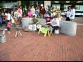 Harv Sq 003.AVI