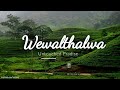 Wewalthalawa- Untouched Paradise