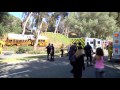 Calif. School Bus Crash Hurts Driver, 11 Kids