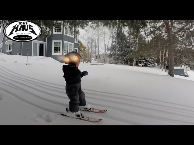 2 Year Old Skiing His First Powder Day - Video