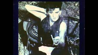 Watch Visage Pleasure Boys video
